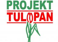 Projekt Tulipan
