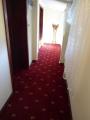 hotel-zlaty-orel-2012-6.jpg